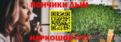спиды Новодвинск
