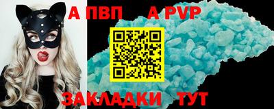 спиды Новодвинск