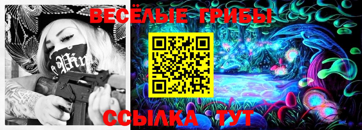 Галлюциногенные грибы Psilocybe Старая Купавна