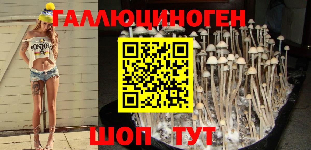 Старая Купавна  Псилоцибиновые грибы ЛСД  Вход с VPN 